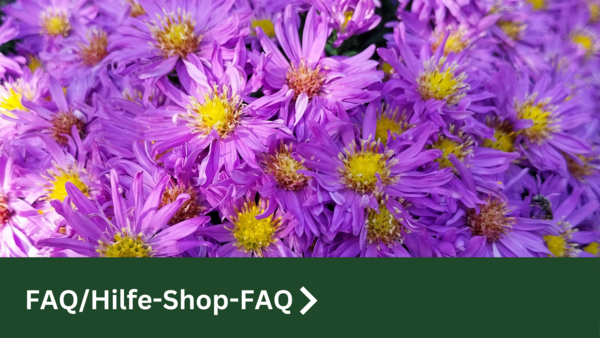 FAQ/Hilfe-Shop-FAQ