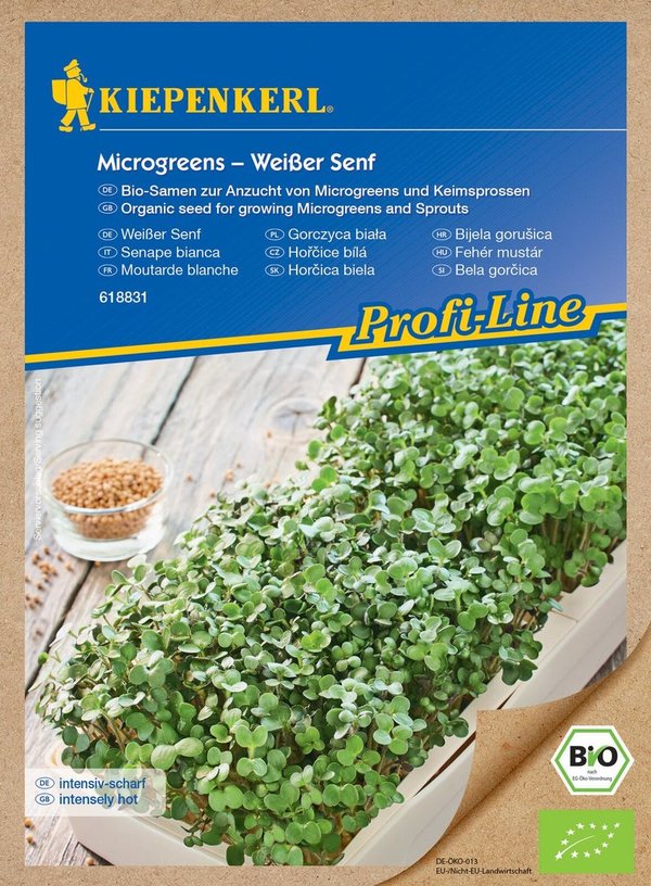 Bio Microgreen- Weißer Senf