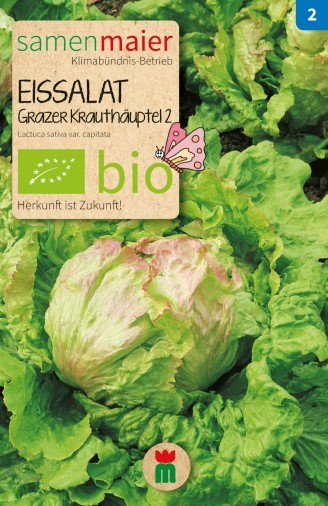 Bio Eissalat,Grazer Krauthäuptel 2