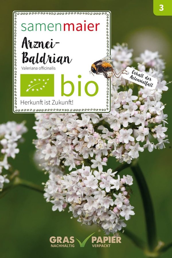Bio Wildblumen, Arznei- Baldrian